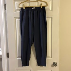 Aritzia Babaton Pants